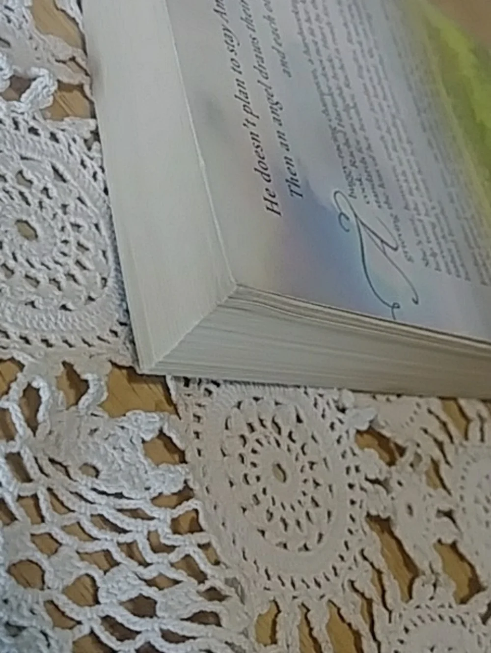 Book Sale! 3 for $10! Amish - Brush of Angel's Wings